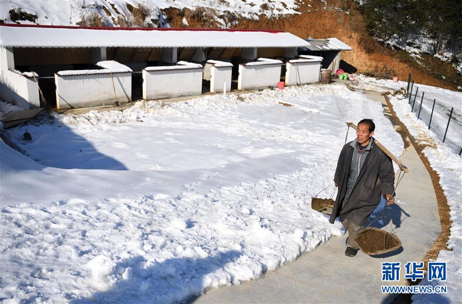 （脱贫攻坚）（1）安徽舒城：&ldquo;猪栏扶贫&rdquo;助力脱贫