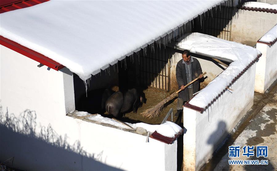 （脱贫攻坚）（3）安徽舒城：&ldquo;猪栏扶贫&rdquo;助力脱贫