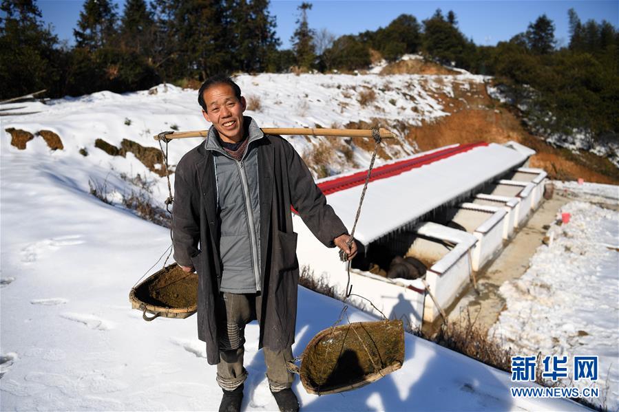 （脱贫攻坚）（2）安徽舒城：&ldquo;猪栏扶贫&rdquo;助力脱贫