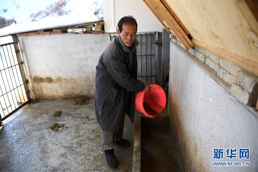 （脱贫攻坚）（4）安徽舒城：&ldquo;猪栏扶贫&rdquo;助力脱贫