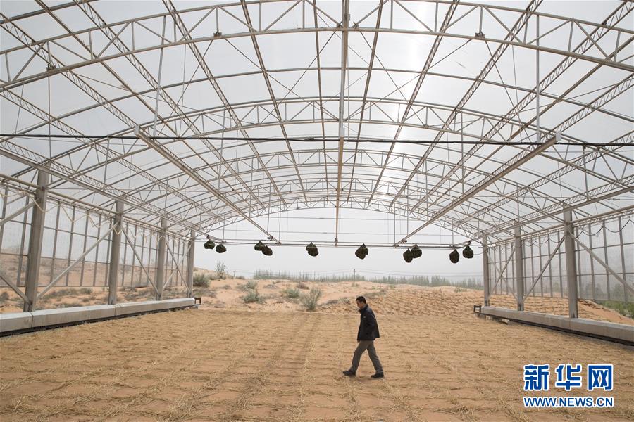 （科技）（4）我国沙区唯一的大型称重式蒸渗仪群建成 