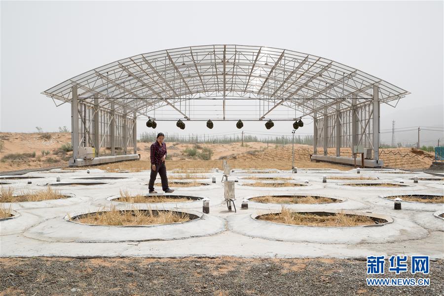 (科技)(5)我国沙区唯一的大型称重式蒸渗仪群建成