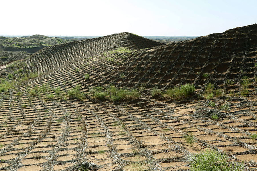 由国家林业和草原局西北华北东北防护林建设局,新华网,国家林业和