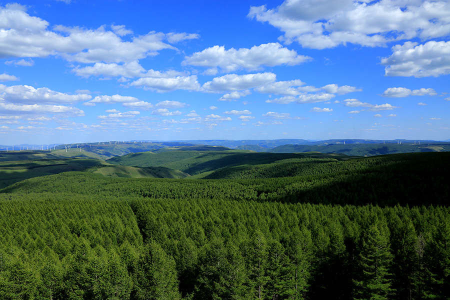 由国家林业和草原局西北华北东北防护林建设局,新华网,国家林业和
