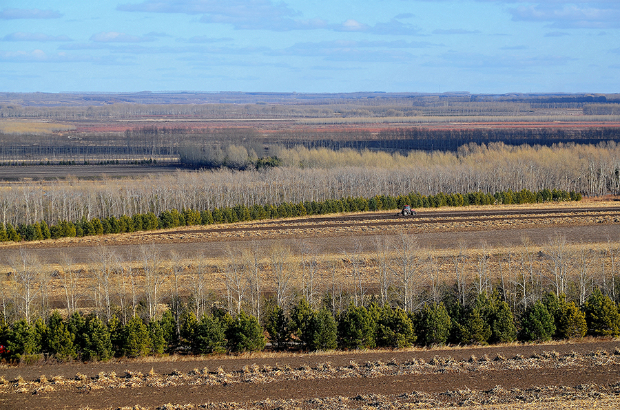 由国家林业和草原局西北华北东北防护林建设局,新华网,国家林业和