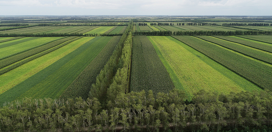 由国家林业和草原局西北华北东北防护林建设局,新华网,国家林业和