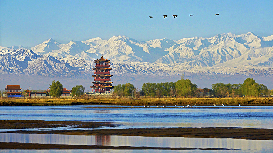 沙漠绿洲戈壁水乡一张掖高台县国家级城市湿地公园