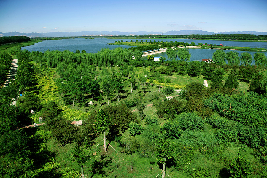 温榆河沿线绿化-何建勇