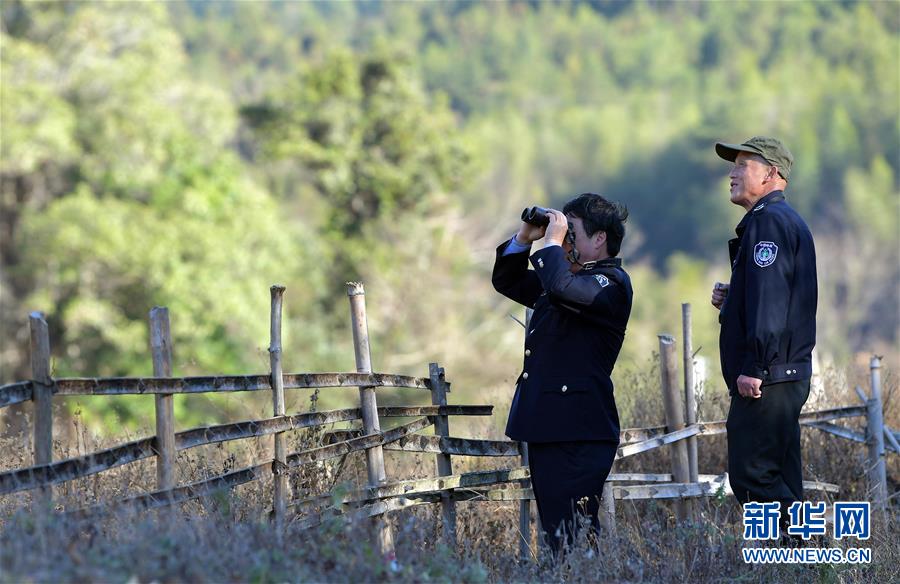 （新春走基层&middot;图文互动）（5）一座山，一辈子&mdash;&mdash;走进赣江源