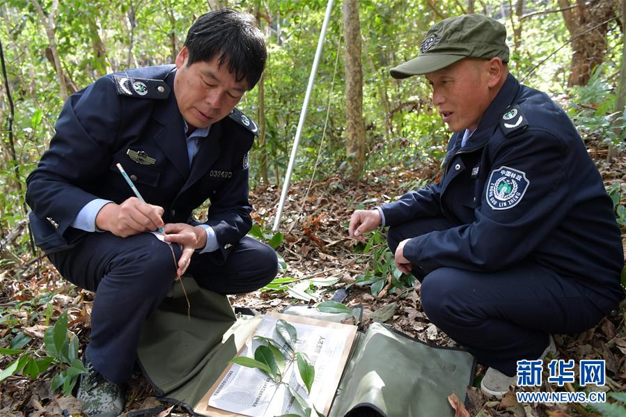 （新春走基层&middot;图文互动）（6）一座山，一辈子&mdash;&mdash;走进赣江源