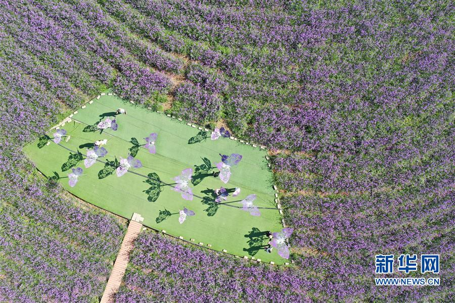 （环境）（2）戈壁&ldquo;镍都&rdquo;变田园花城