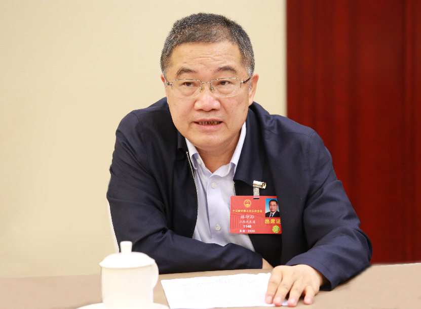 林印孙代表:进一步落实"六稳"部署 激发民营企业做大做强