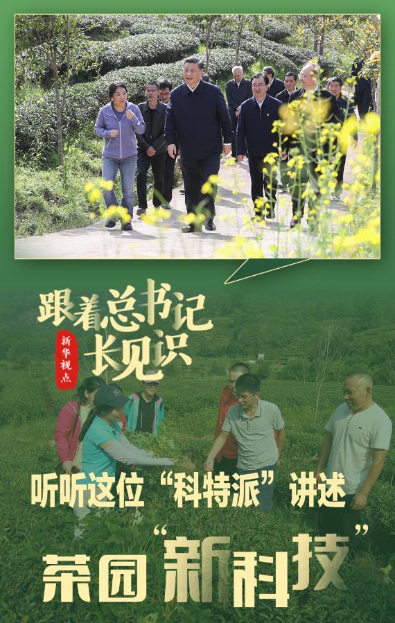 跟着总书记长见识丨听听这位科特派讲述茶园新科技