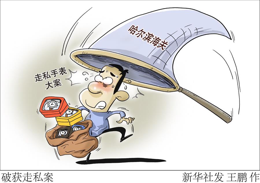 （图表&middot;漫画）［法治］破获走私案