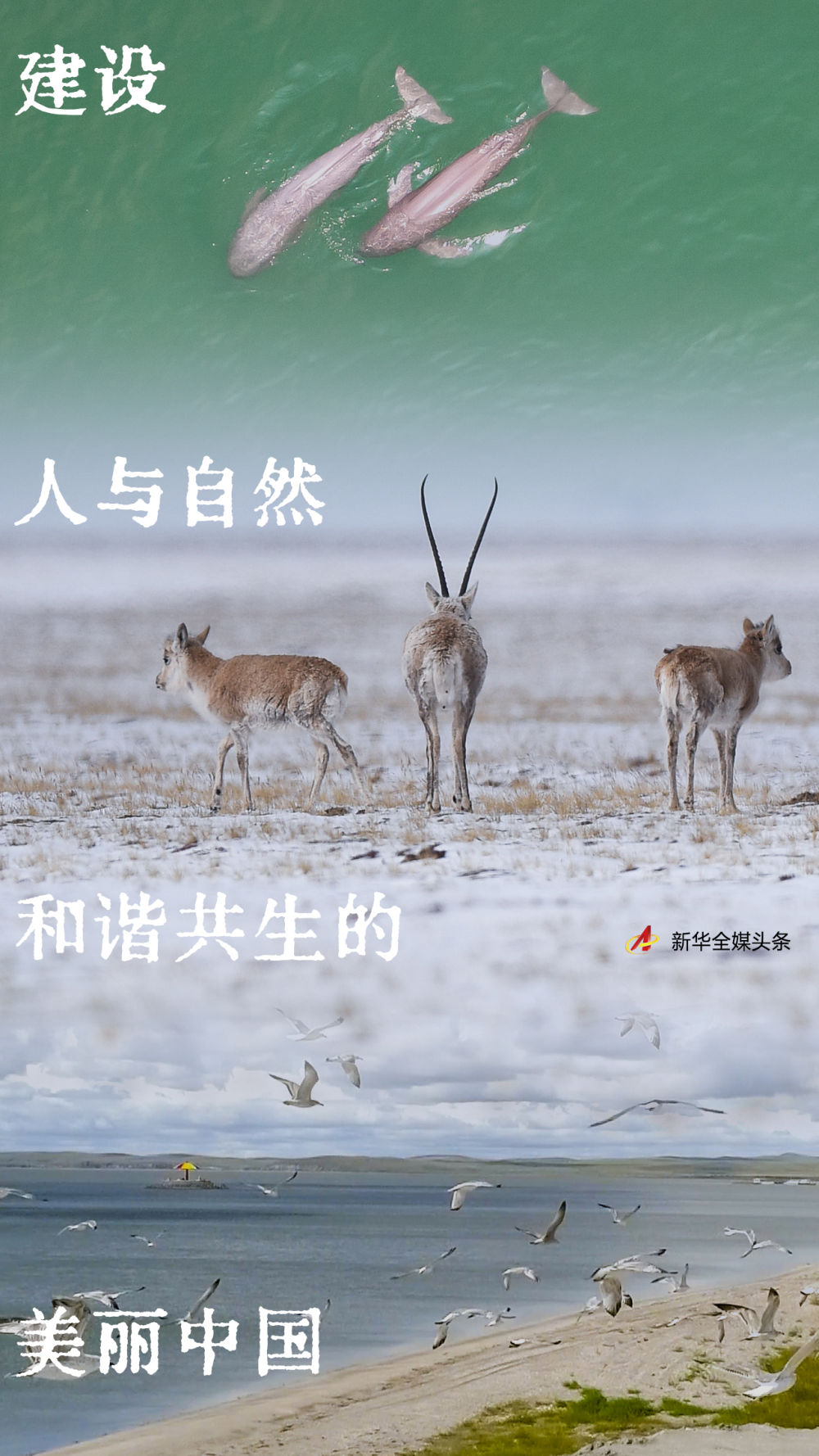 建设人与自然和谐共生的美丽中国-新华网