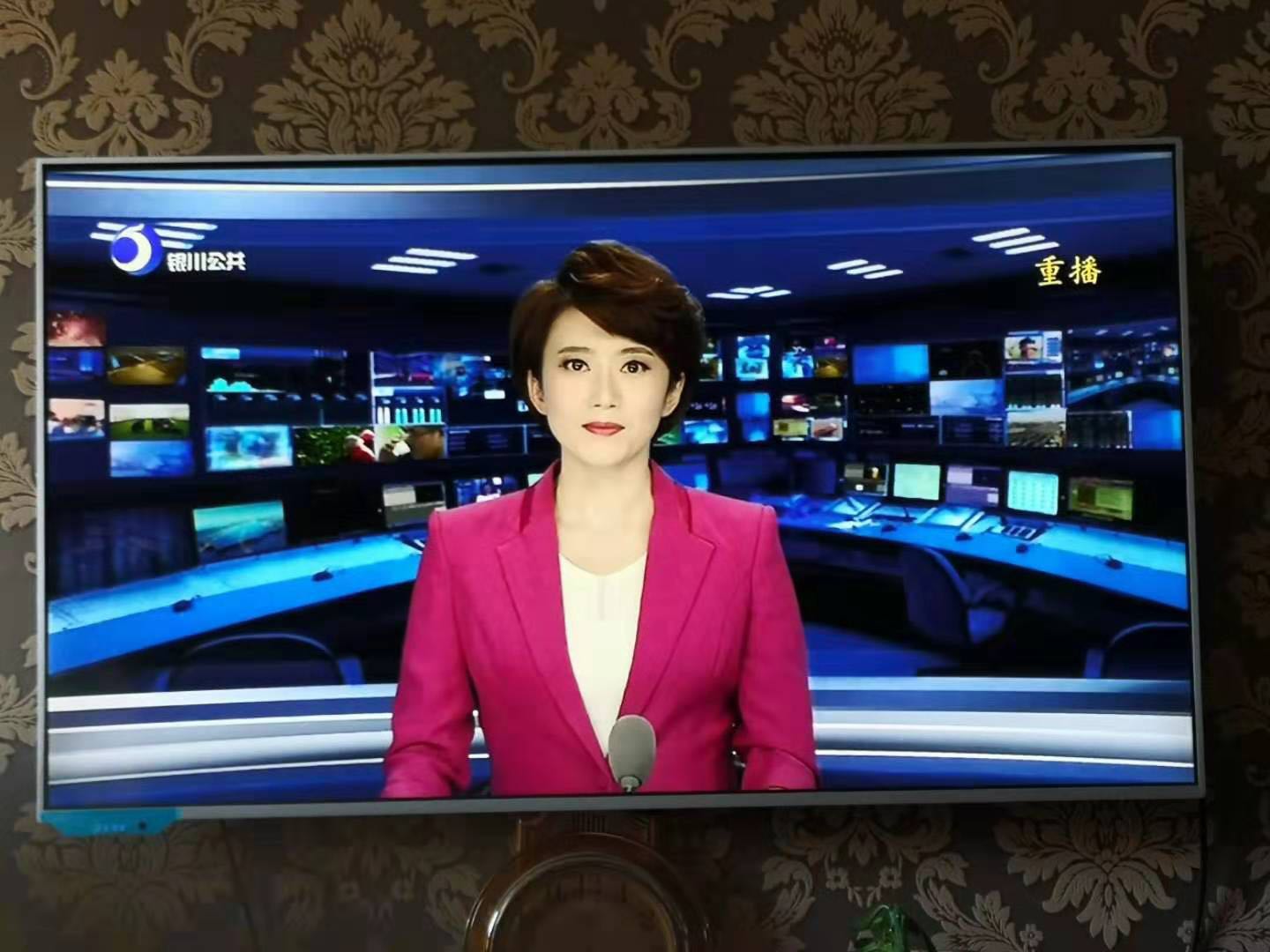 银川市新闻传媒集团马静闽宁镇里寻水花