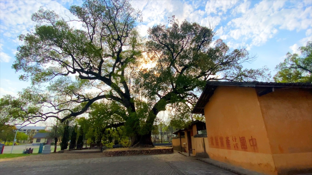 沙洲坝人民井水清冽甘甜静卧在一片田舍之间这口闻名遐迩的老井便是