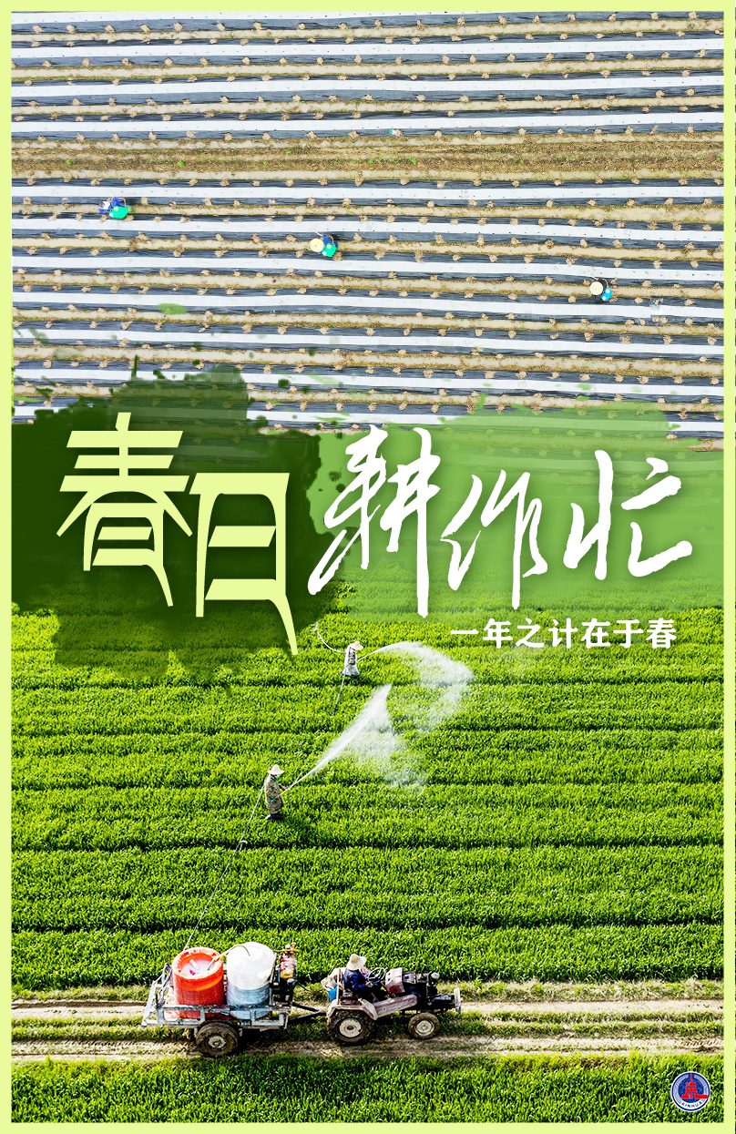 一年之计在于春-新华网
