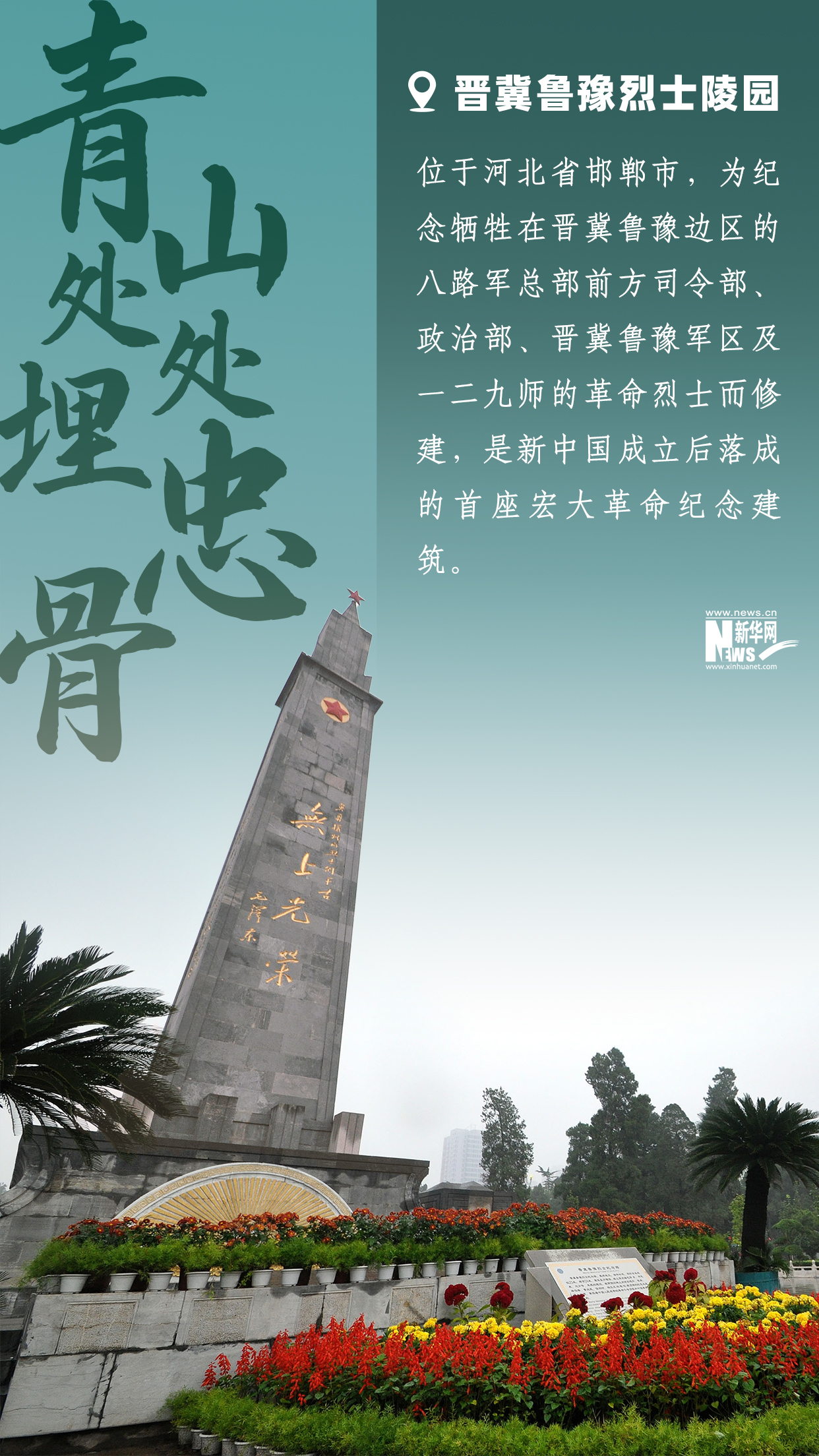 最闪亮的坐标丨青山处处埋忠骨