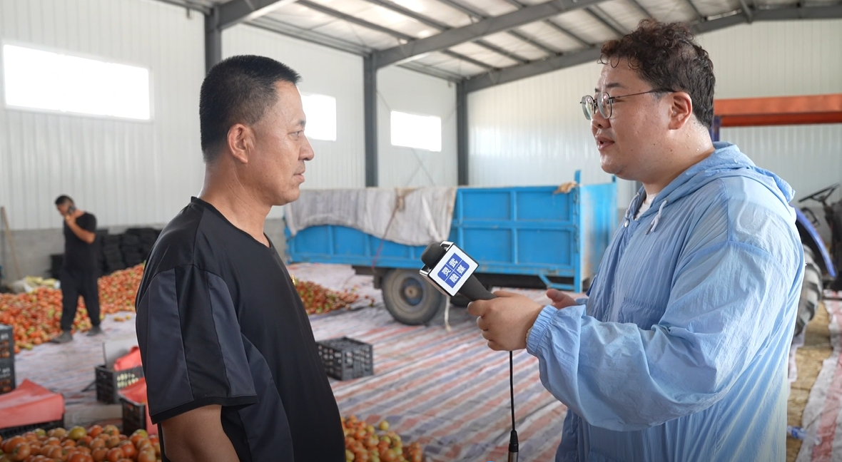 采访灵武市梧桐树村党支部书记,了解农业产业情况专家点评