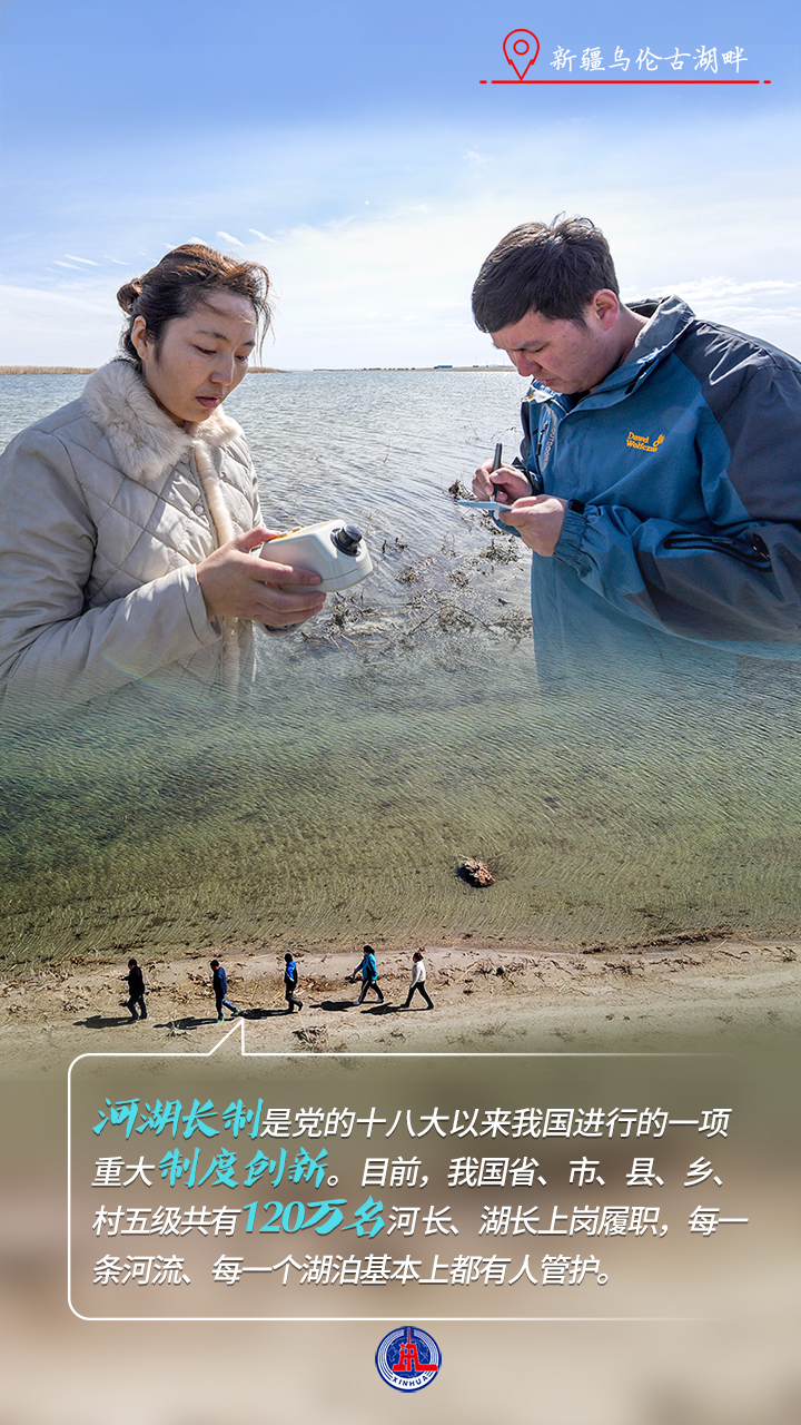 习近平总书记关切事｜以林为笔的生态答卷