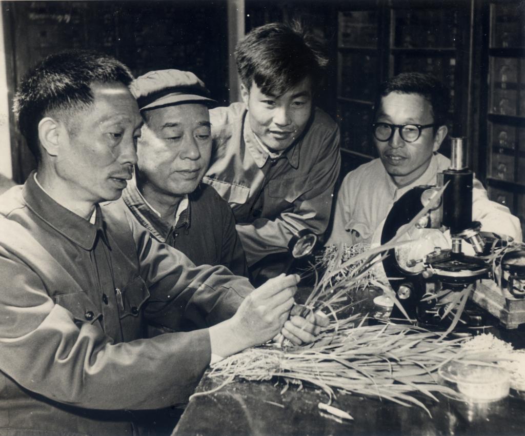 他用"石破天惊"来形容当年听到袁隆平介绍技术时的感受.