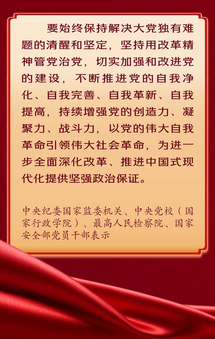 深入学习贯彻党的二十届三中全会精神，他们这样说-新华网