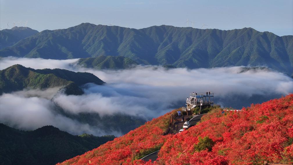 美好旅程 活力中国——旅游业一线观察