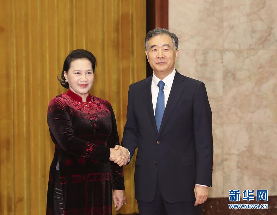 汪洋会见越南国会主席阮氏金银