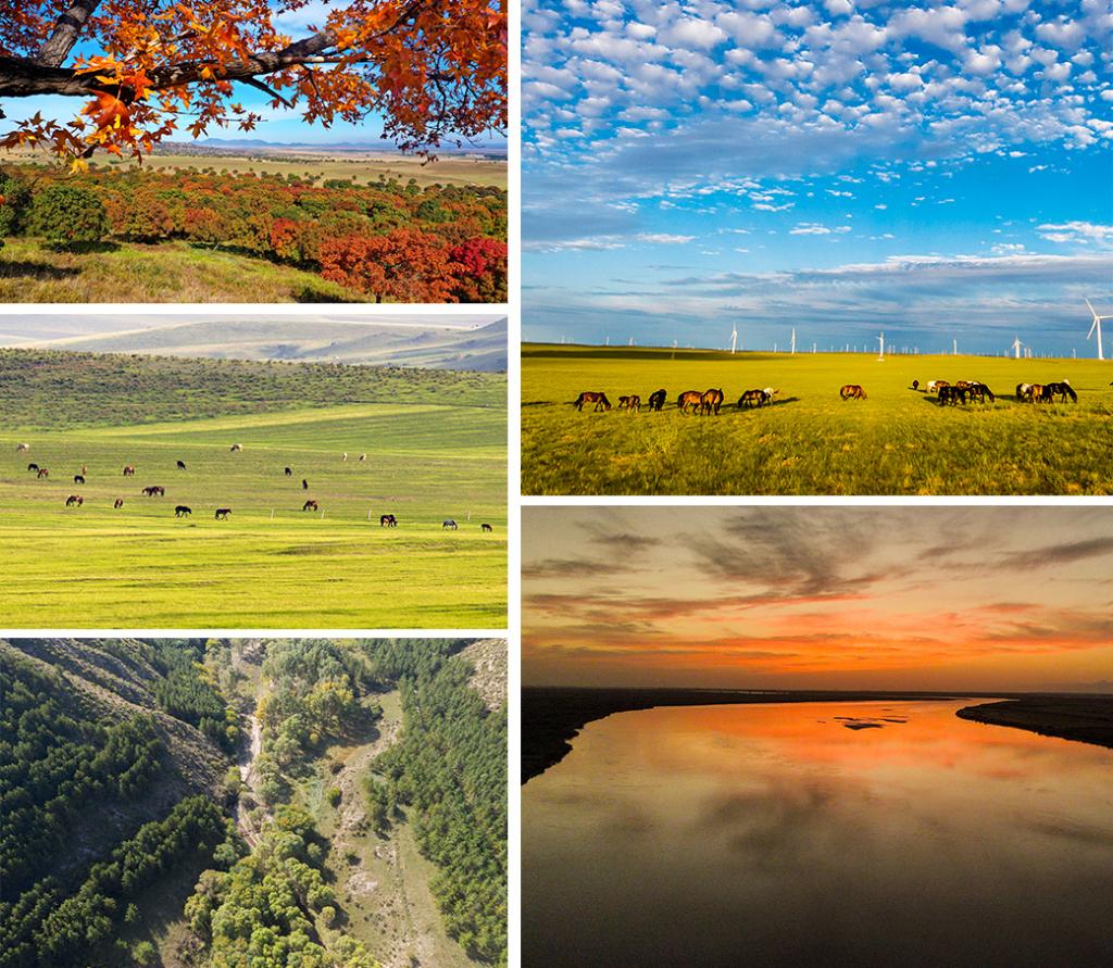 总书记的春天之约丨共绘美丽中国