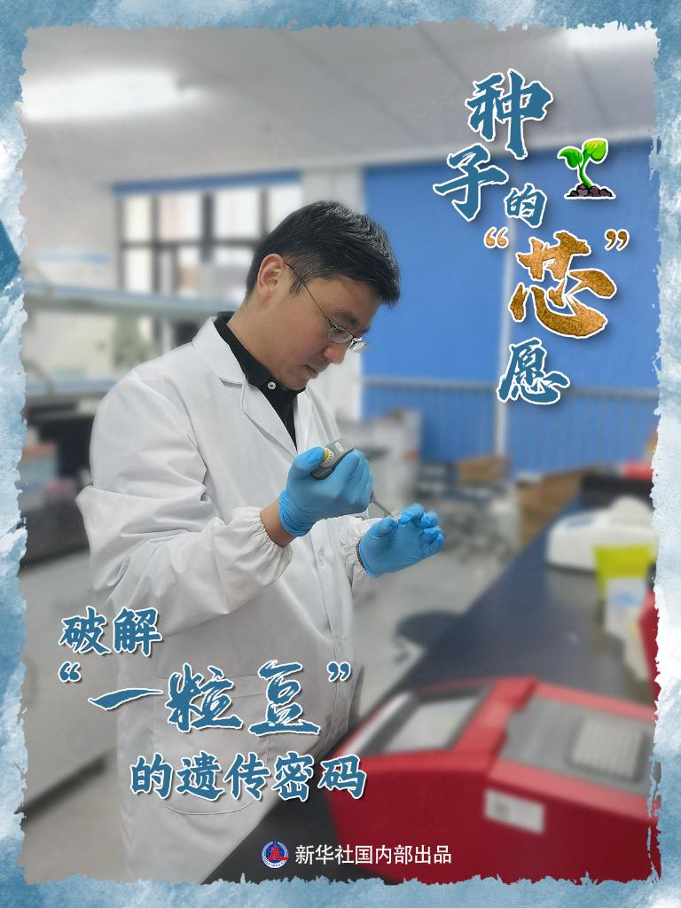 习近平总书记关切事｜以林为笔的生态答卷