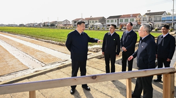 第1视点丨在水稻田边，总书记强调抓好春耕备耕