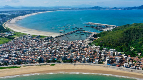 镜观·领航丨总书记足迹里的关切事:特色产业富乡村