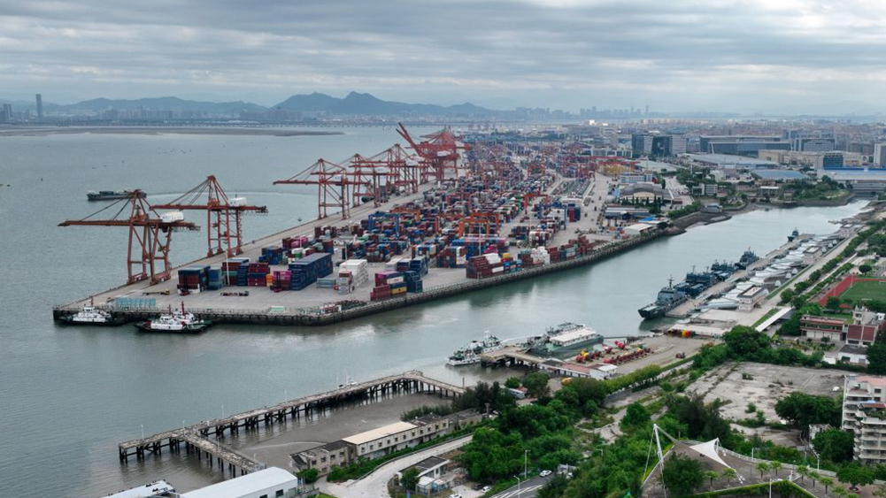 时政镜距离丨种好改革开放“试验田”