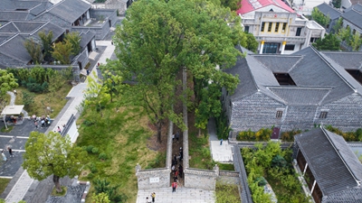 时政镜距离|六尺巷里的大智慧