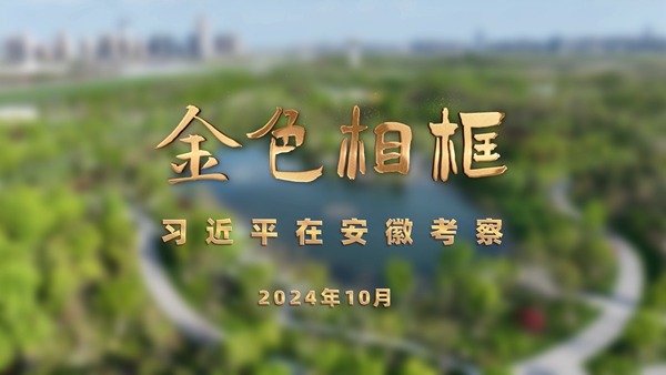 金色相框|习近平在安徽考察