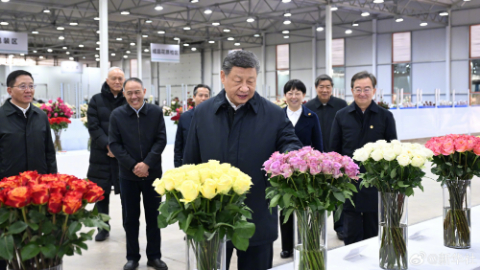 习近平:祝你们的生活像花儿一样美!