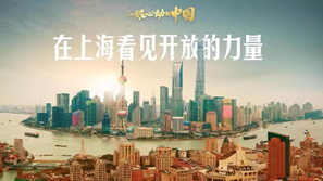 一眼心动的中国丨在上海看见开放的力量