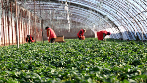 着眼“十五五”，习近平总书记引领“三农”工作新开局