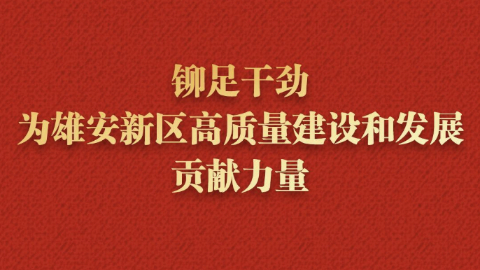 铆足干劲,为雄安新区高质量建设和发展贡献力量