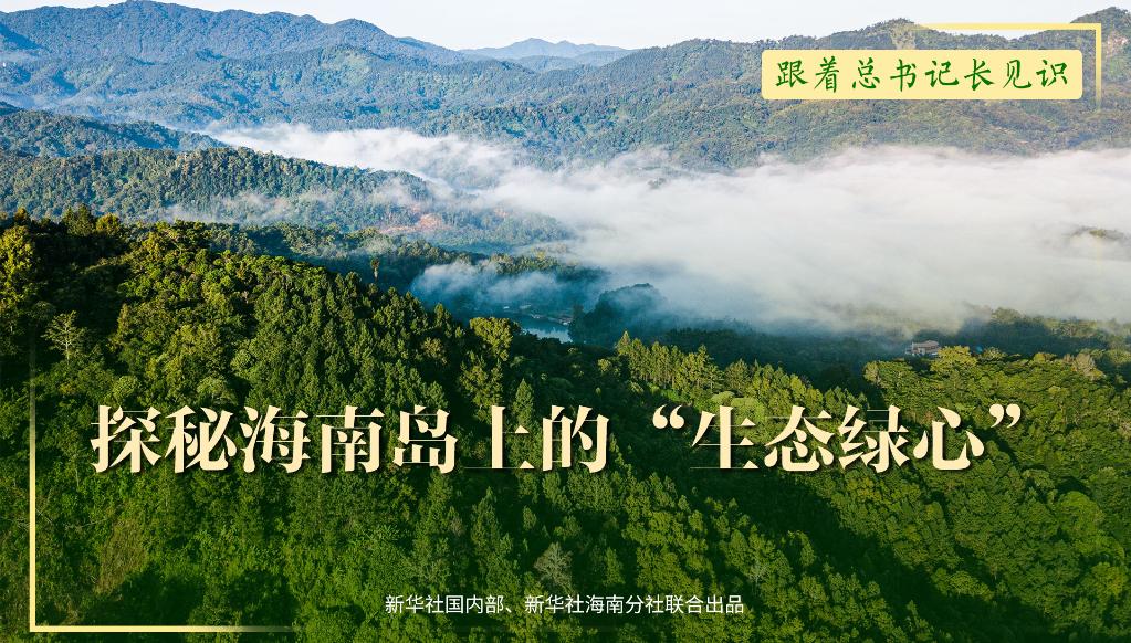跟着总书记长见识丨探秘海南岛上的&ldquo;生态绿心&rdquo;
