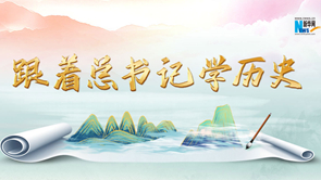 跟着总书记学历史