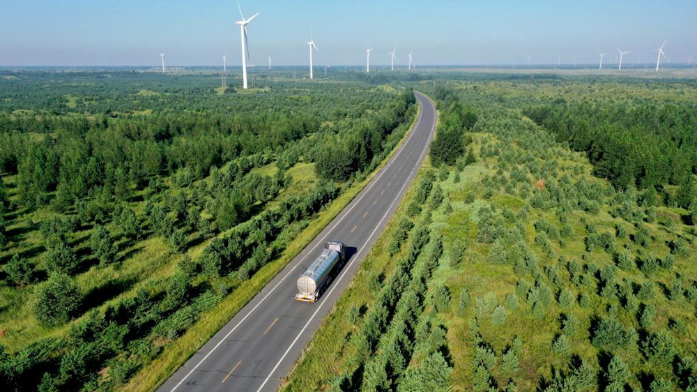 沿着总书记的足迹丨&ldquo;三北&rdquo;工程，绵亘万里的绿色长城