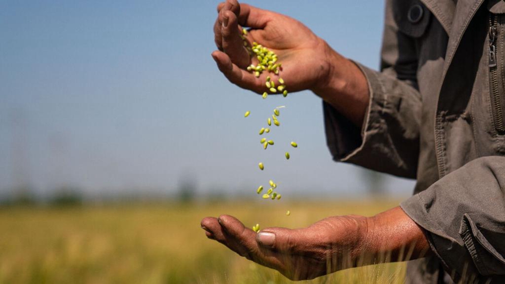 习近平总书记关切事丨做好这篇&ldquo;大文章&rdquo;，田间地头有答卷