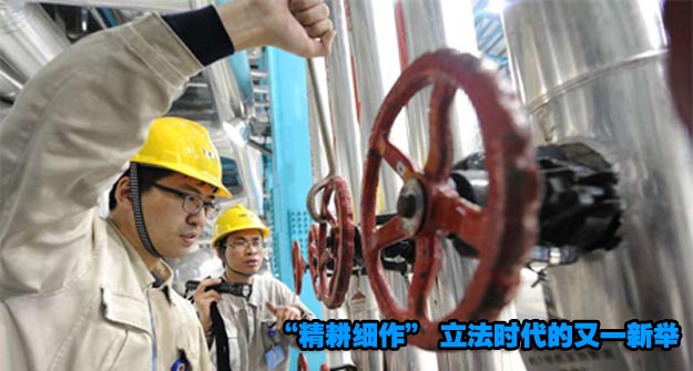 &ldquo;精耕细作&rdquo;立法时代的又一新举