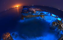 山东东营现蓝色&ldquo;荧光海&rdquo;