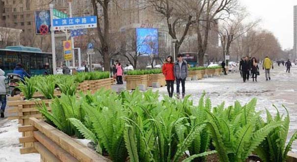 吉林街头安插&ldquo;油麦菜&rdquo;假花搞绿化