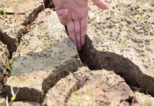 广西24万亩农作物受旱 3万多人饮水困难