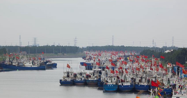 黄渤海即将进入伏季休渔期