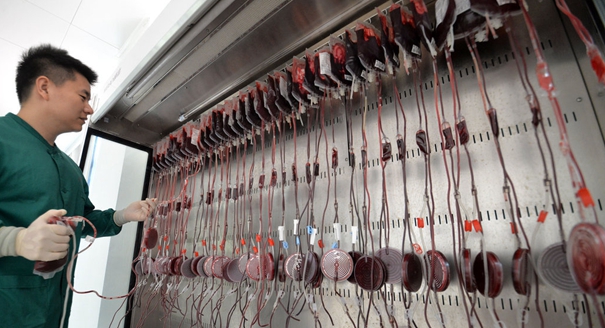 图片故事：探访中心血站